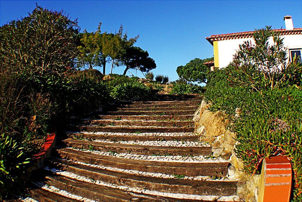 Quinta Da Torre - Obidos Country House Exterior foto