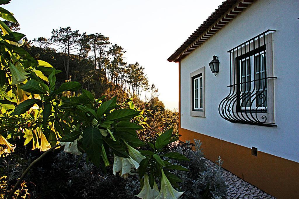 Quinta Da Torre - Obidos Country House Exterior foto